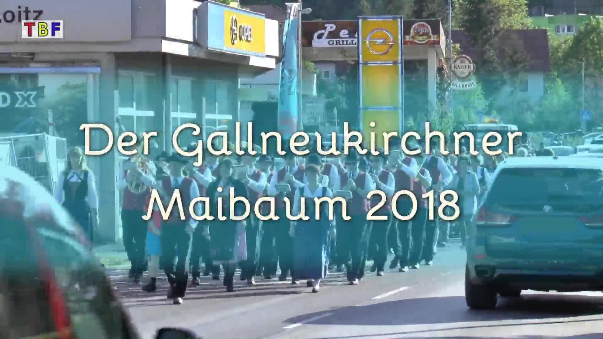Der Gallneukirchner Maibaum 2018