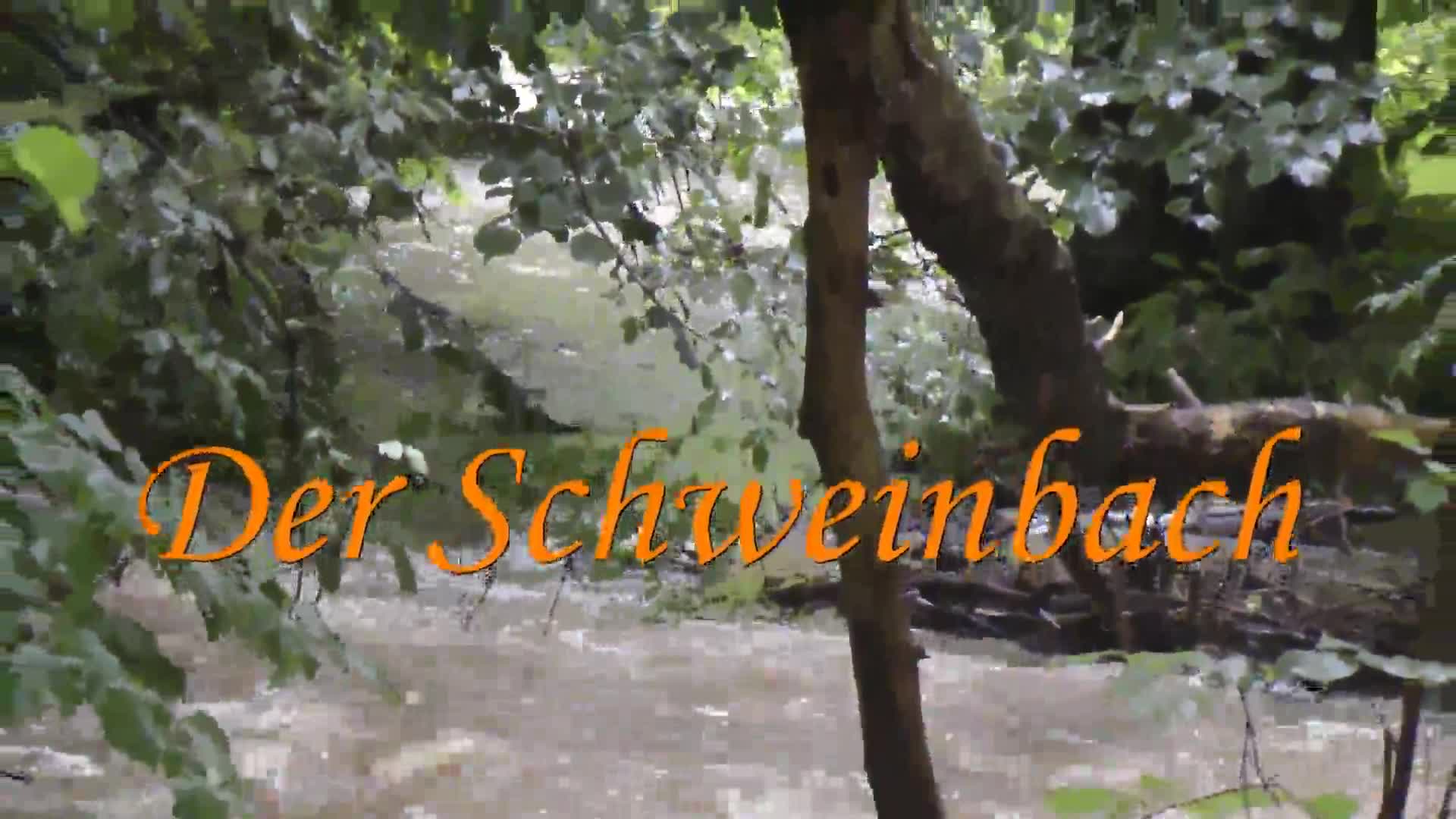 Der Schweinbach-Quelle bis Mündung