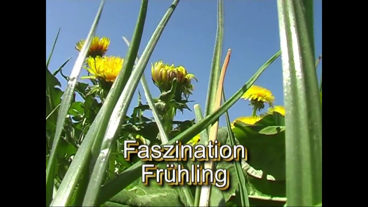 Faszination Frühling