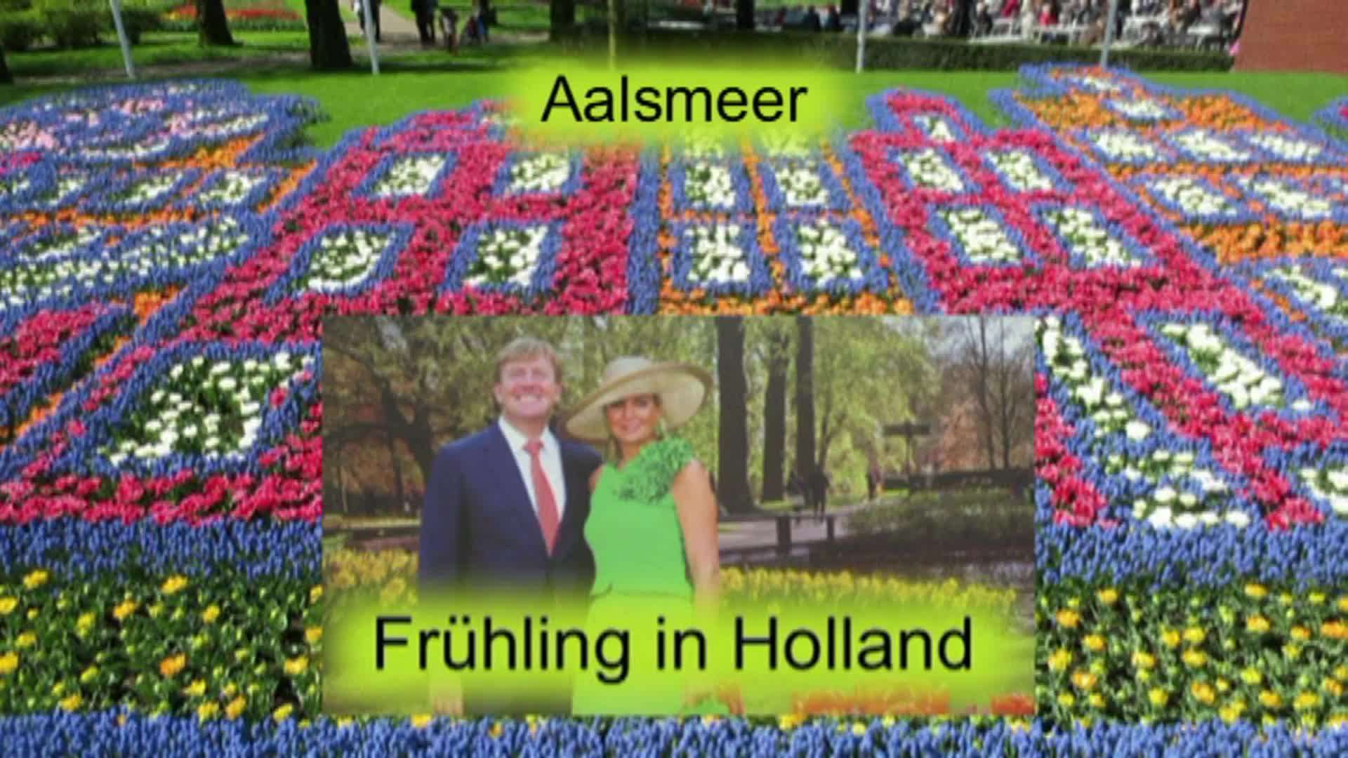 Frühling in Holland (4) Aalsmeer