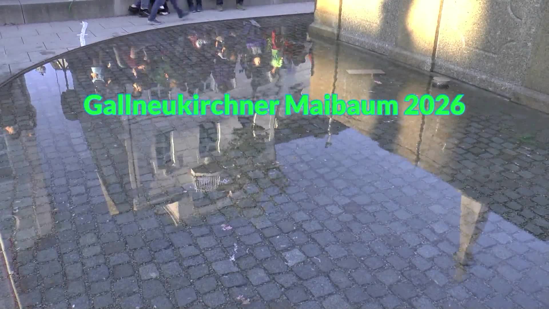 Gallneukirchner Maibaum 2026
