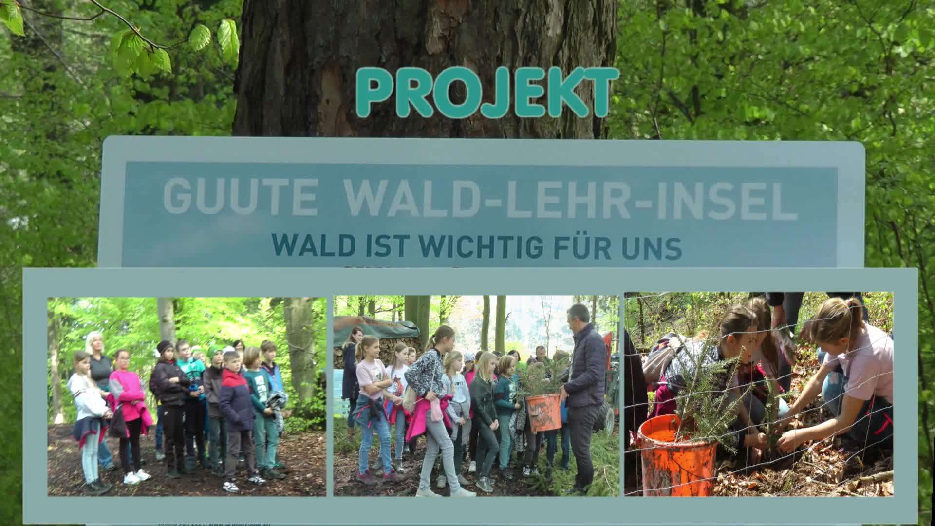 Projekt WALD-LEHR-INSEL