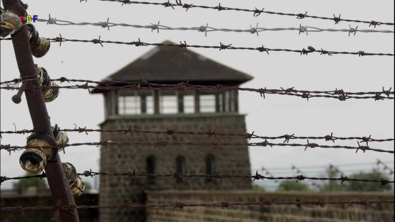 Tatort Mauthausen 1938 bis 1945